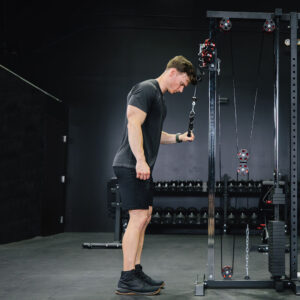 Selectorized Wall and Rack Mounted Pulley Towers - Image 4