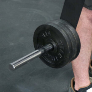 Mini Farmer's Walk Handles with Standard Weight Posts - Image 4