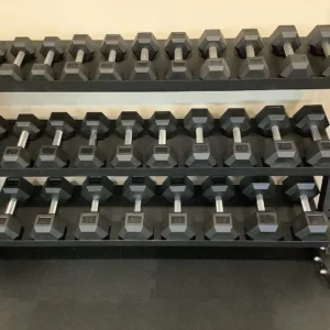 50 LB rubber hex dumbbells with hexagonal heads for strength training