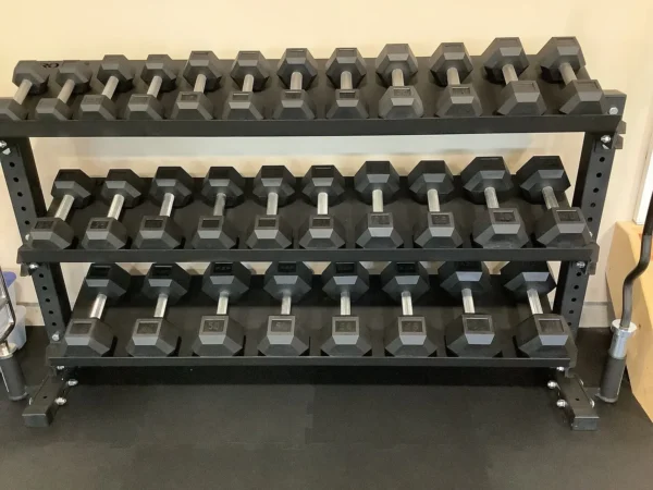 50 LB rubber hex dumbbells with hexagonal heads for strength training